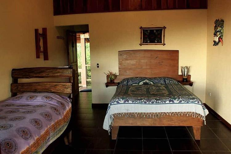 Shared Room Single Bed