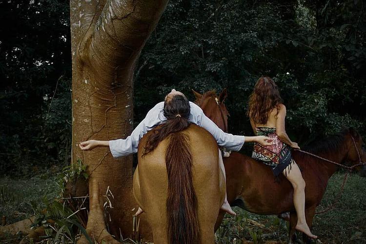 6 Day Journey of Love with Horses in Costa Rica