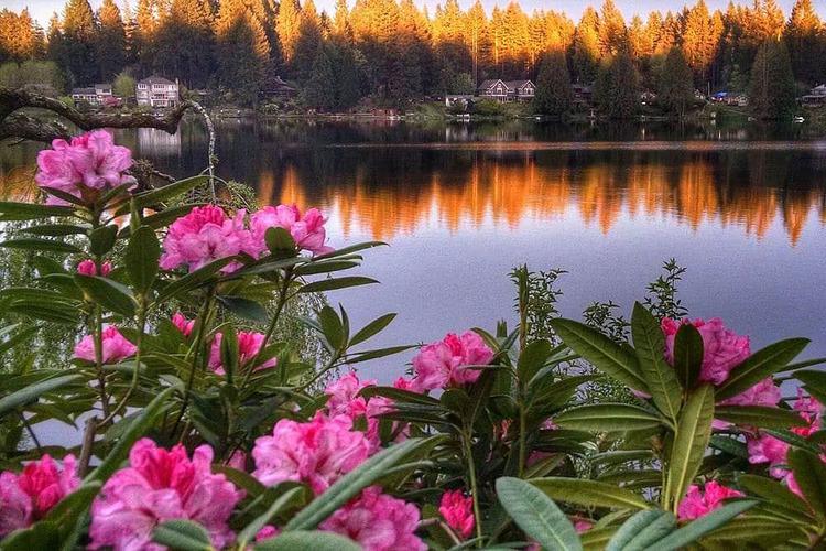 3 Day Cottage Lake B&B Retreat in Woodinville ، الولايات المتحدة الأمريكية