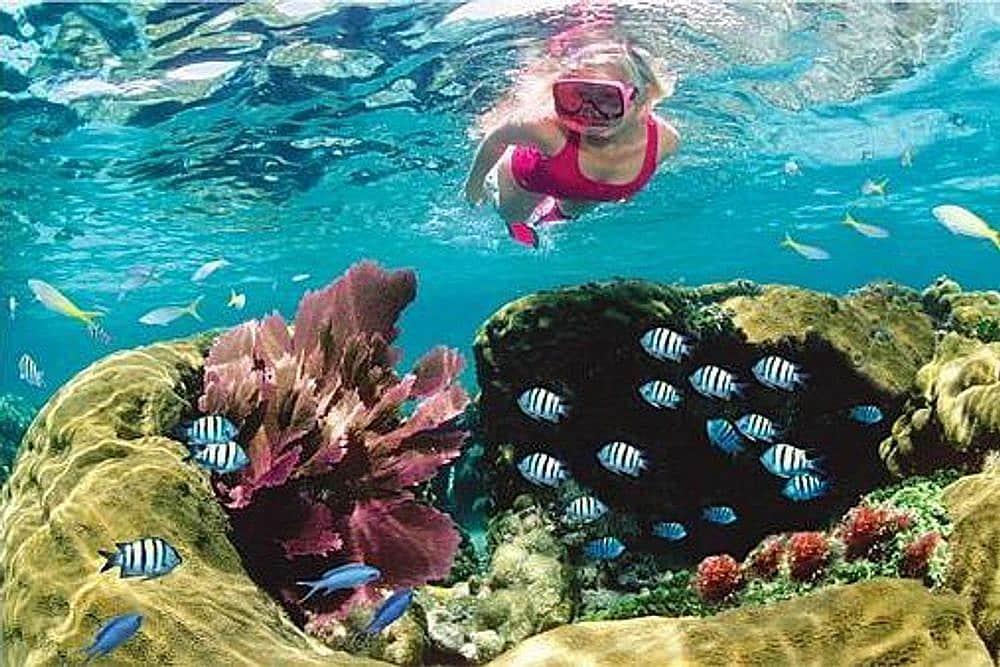 5 Day Ocean Adventure & Spa Yoga Wellness Retreat in Key West, US