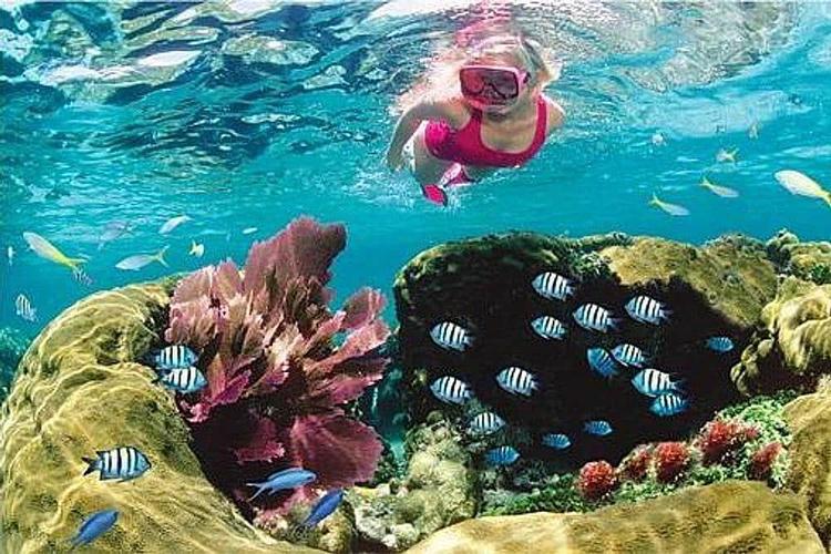5 Day Ocean Adventure & Spa Yoga Wellness Retreat in Key West, US