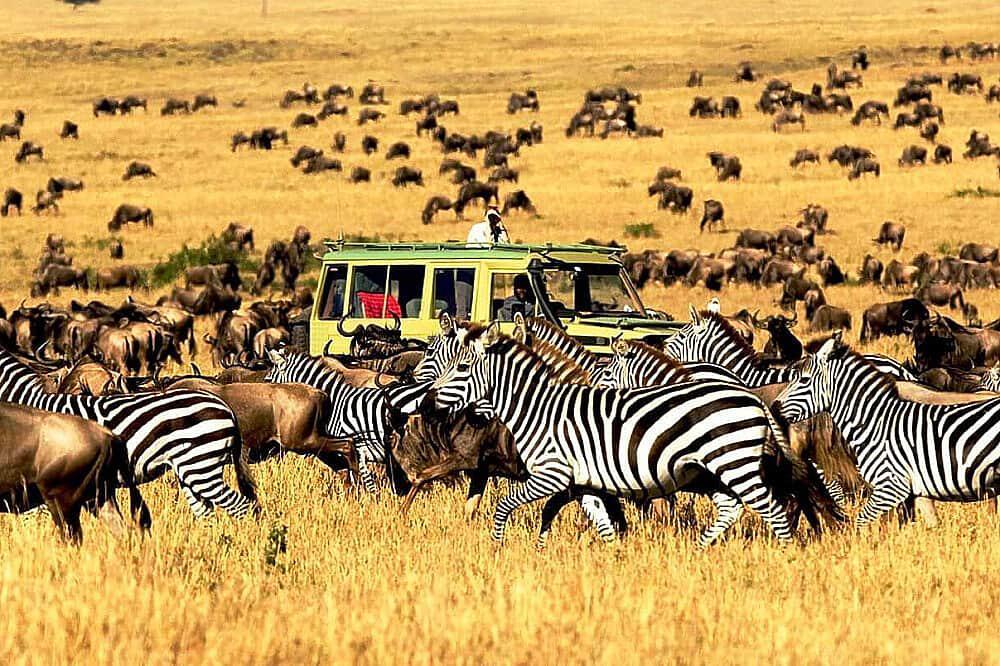 8 Day Safari to Ngorongoro and Serengeti National Park, Africa