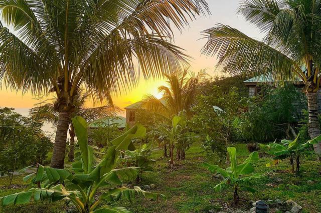 8 Day Inclusive Adventure Wellness Package, Dominica
