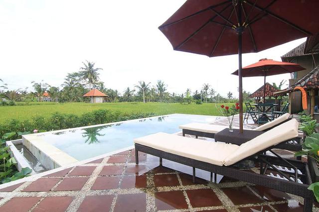 7 Day Unforgettable Solo Yoga Retreat in Ubud, Bali