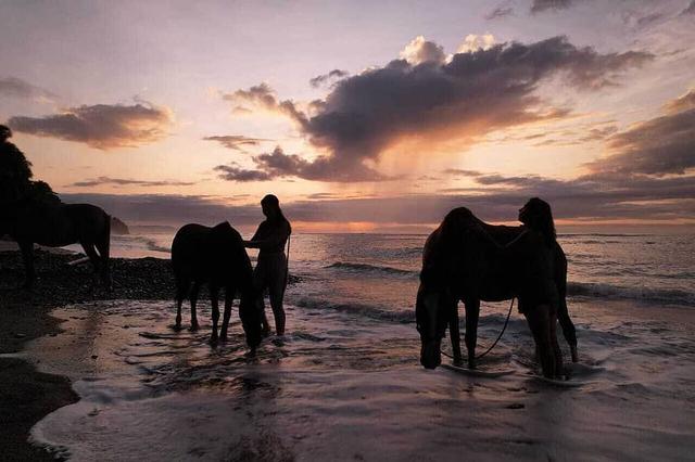6 Day Journey of Love with Horses in Costa Rica