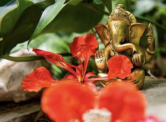 5 Day Ocean Adventure & Spa Yoga Wellness Retreat in Key West, US