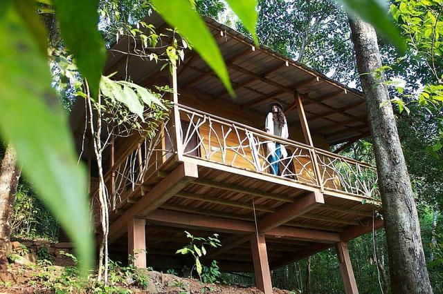 4 Day Hiking, Cooking & Tree Planting & Yoga Holiday in Sri Lanka