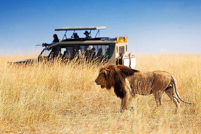 5 Day Safari to Tarangire, Lake Manyara, & Ngorongoro, Africa
