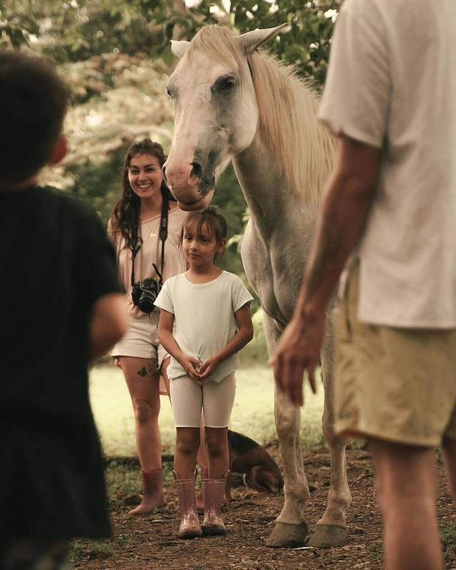 6 Day Journey of Love with Horses in Costa Rica