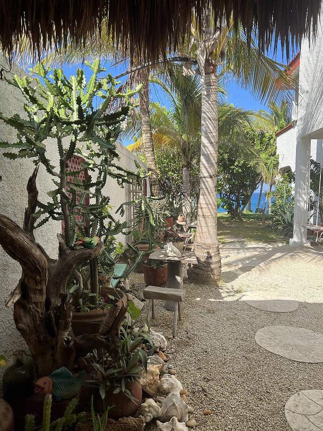 4 Day Yoga & Snorkeling Experience in Isla Mujeres, Mexico