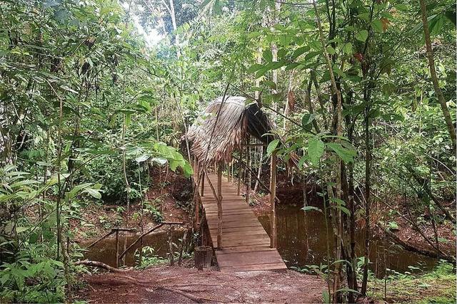 7 Day Yoga, Meditation & Shamanic Retreat in Iquitos, Peru