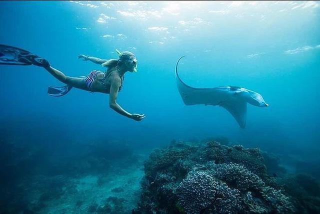 5 Day Ocean Adventure & Spa Yoga Wellness Retreat in Key West, US