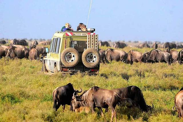 8 Day Safari to Ngorongoro and Serengeti National Park, Africa