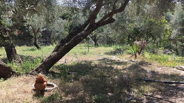 6 Day Pause Listen & Reconnect With Yourself Dance Retreat, Spain