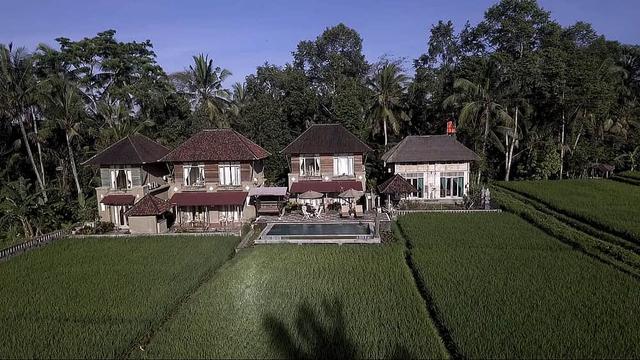 7 Day Unforgettable Solo Yoga Retreat in Ubud, Bali