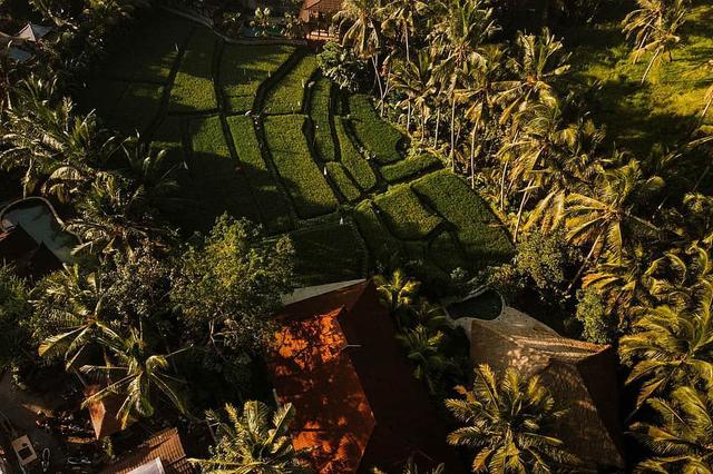 5 Day "Meditation 1:1" Meditation and Yoga Retreat Ubud, Bali