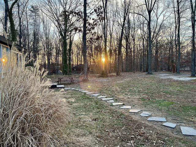 3 Day Shamanic Energy Healing & Detox Retreat in Virginia, USA