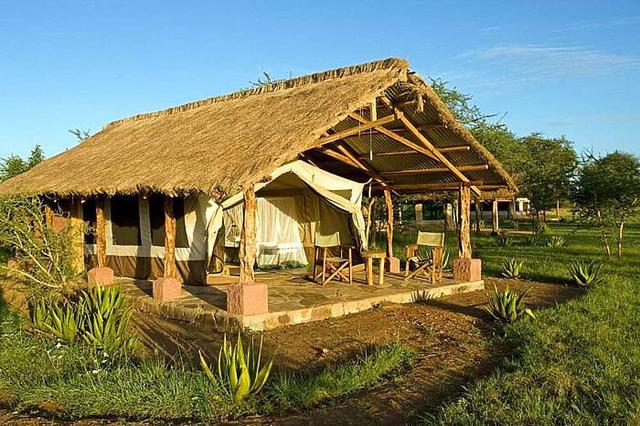 8 Day Safari to Ngorongoro and Serengeti National Park, Africa